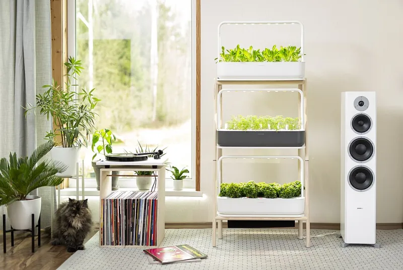 No Backyard? No Problem: How to Grow a Thriving Medicinal Herb Garden in Your Apartment
