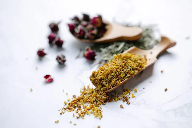 Your Tongue Knows More Than the Label Does: How to Read an Herb's Flavor for Potency