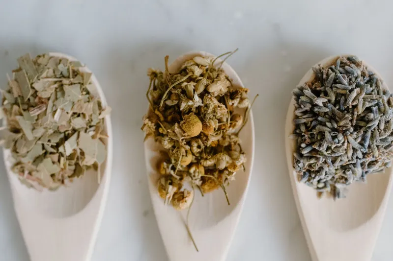 Your Lymphatic System Is the Unsung Hero of Winter Immunity — Here's How Herbs Can Wake It Up