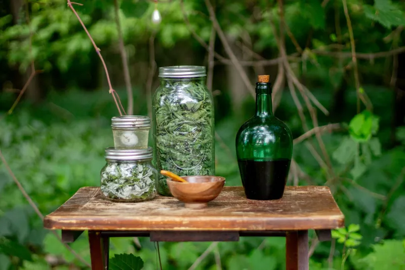 Patience Is the Active Ingredient: Setting Realistic Timelines for Your Herbal Remedies