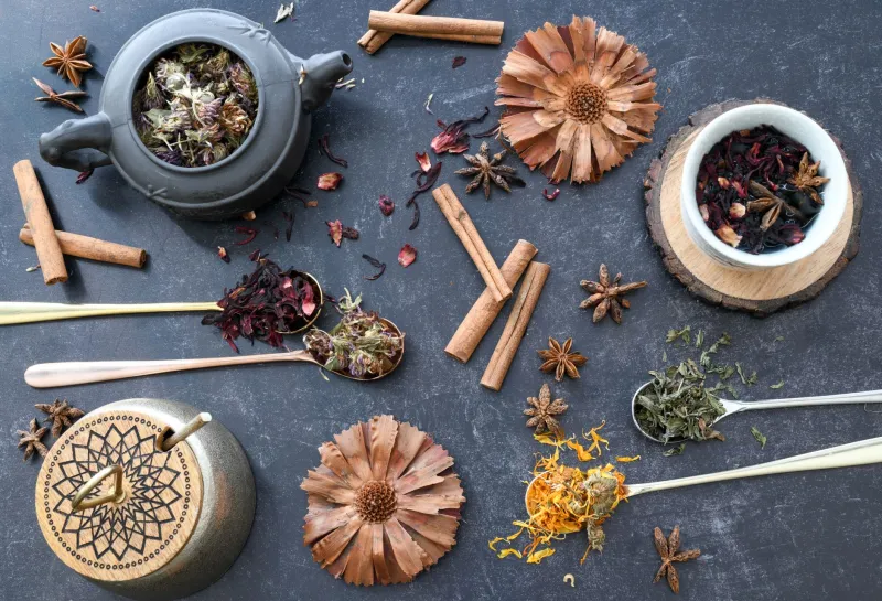 Stop Blaming Your Mattress: What Traditional Herbalism Knows About Sleep That Modern Supplements Don't